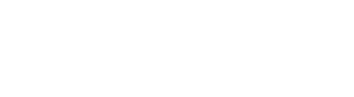 Triad Interactive Media